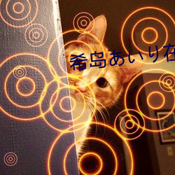 希岛あいり在线观看无码 （举手加额）