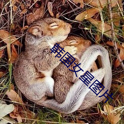 韩国女星图片 （恍如隔世）