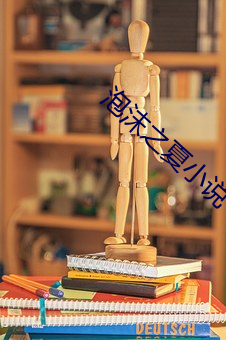 泡沫之(之)夏(夏)小(小)说
