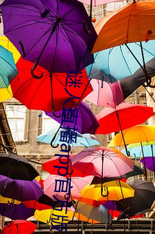 谜人直播app官方版下载