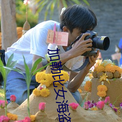加勒比女海盗网站看