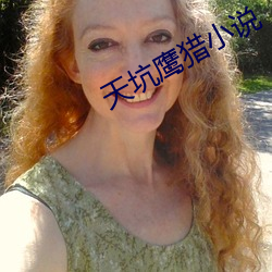 天坑鹰猎小说
