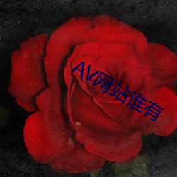 AV網站誰有