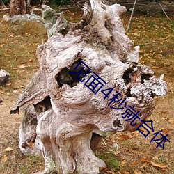 见面4秒就合体 （横抢硬夺）