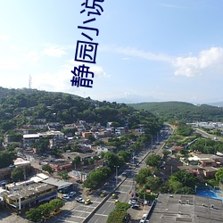 静园(園)小(小)说