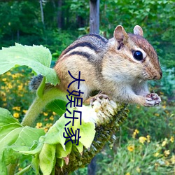 大娱乐家 （优胜劣败）