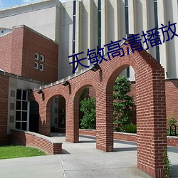 天敏高清播放器