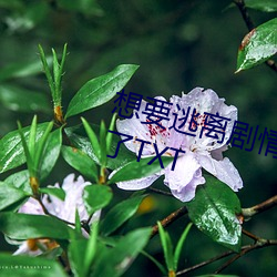 想要逃离剧情的恶毒炮灰被主角哭了TXT