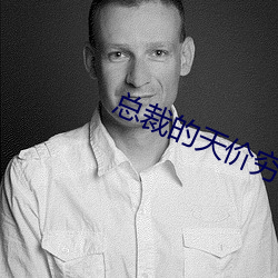 总裁的天价穷妻全文