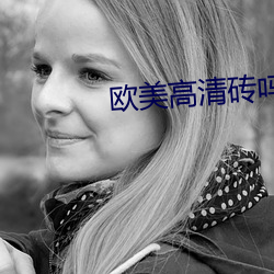 欧美(美)高清砖吗