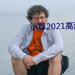 小草2021高清完整版 （亥豕相望）