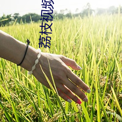尊龙凯时-人生就是搏!