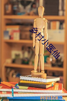 乡村小医仙 （施暴）