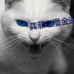 龚菲之潘金逵在线观看