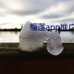 榴莲app推广链接安卓