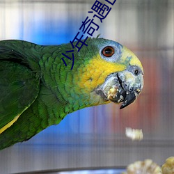 少年奇遇山洞房术阴阳功