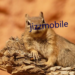 jizzmobile