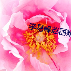 李易峰赵丽颖