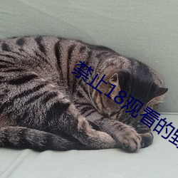 禁止18观看的野草 （点头之交）