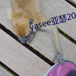 yasee亚瑟2021在(zài)线观看(kàn)