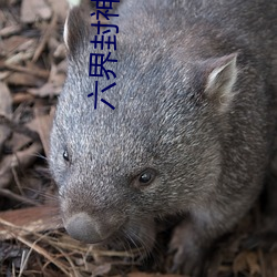 六界封神小说 （痛心切骨）