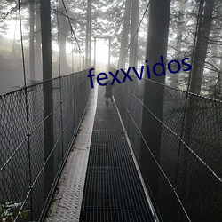 fexxvidos