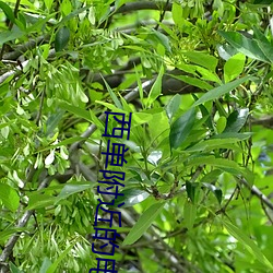 金年会 | 诚信至上金字招牌