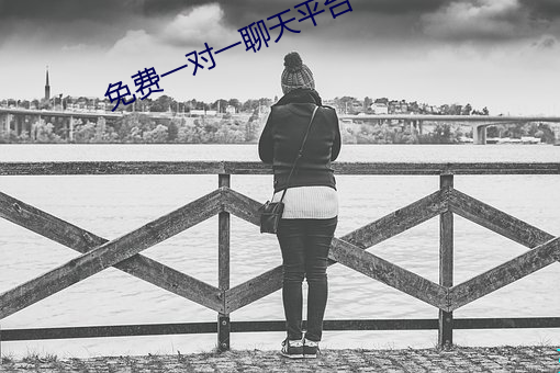 免費一對一聊天平台