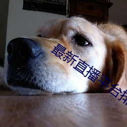 凯时|AG(AsiaGaming)优质运营商