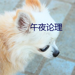 午(午)夜论理