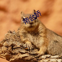 帝台娇