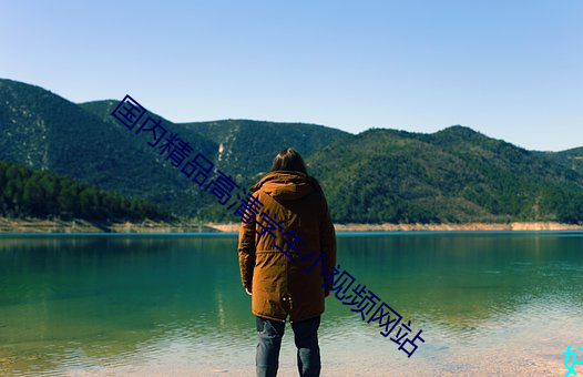 国内精品高清学生小视频网站