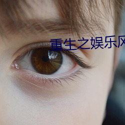 重生之娛樂風暴