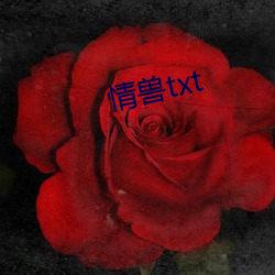 情兽txt 举眼无亲）