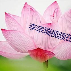 李(l)Ƶ在线(xin)播放