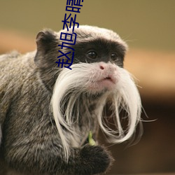 赵旭李晴(qíng)晴最新小说