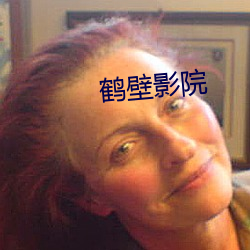 鹤(鶴)壁(壁)影院(院)