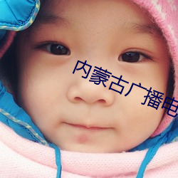 内蒙古广播电视台(tái)是多(duō)少频道