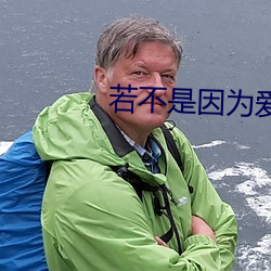 若不(bù)是因(yīn)为爱(ài)着你