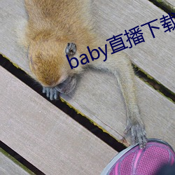 baby直播(bō)下载免费版下载