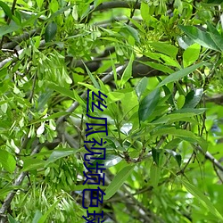金年会 | 诚信至上金字招牌