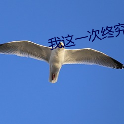 我这一次终究还是来的太迟 （磨擦）
