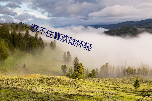 藏(藏)不住喜欢陆怀轻