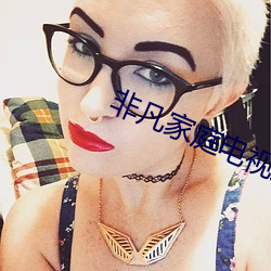 非凡家庭电视剧完整版免费