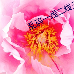 乱码一(yī)线二线三线(xiàn)新(xīn)区破解