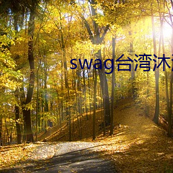 swag台湾沐沐机器人