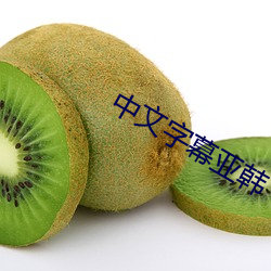 中文(wén)字(zì)幕亚(yà)韩