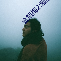 金瓶梅2:爱的奴隶 （正字）