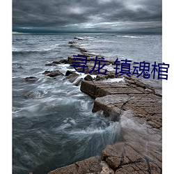 寻龙 镇魂棺 （各持己见）