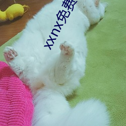 xxnx免费下载软件